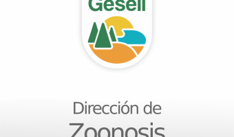 ZOONOSIS: INFORMACIÓN A TENER EN CUENTA SOBRE LOS ALACRANES